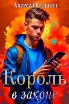 Real-RPG Король в законе (СИ)