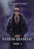 Князь шаман. Том 3 (СИ)