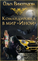 Командировка в мир &quot;Иной&quot; (СИ)