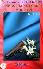 Никогда не говори мне «нет». Книга 4
