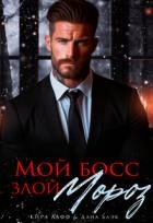 Мой босс - злой Мороз! (СИ)